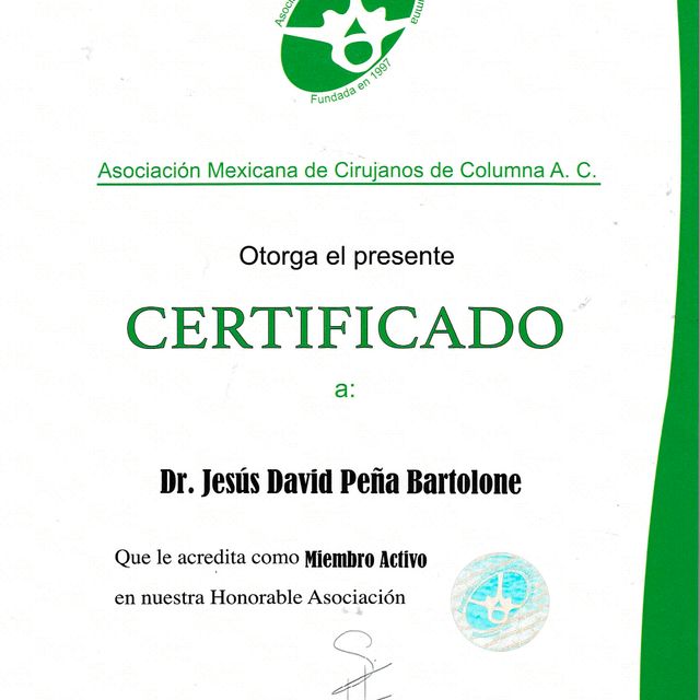 Ampliar imagen: certificate 3