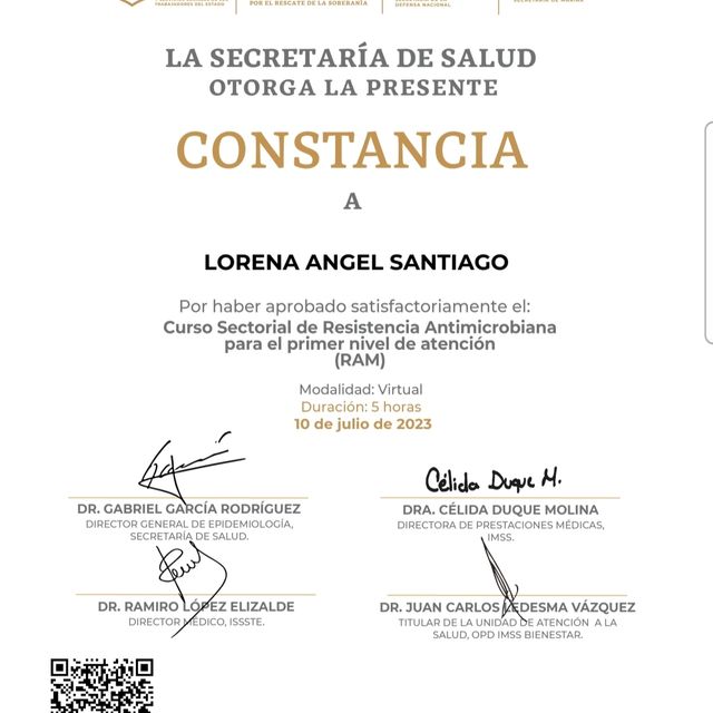 Ampliar imagen: certificate 4