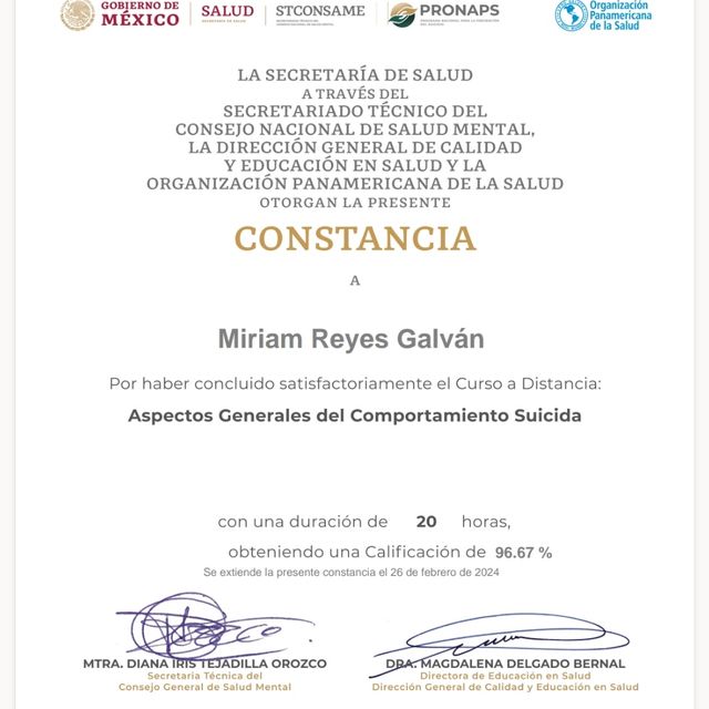 Ampliar imagen: certificate 2