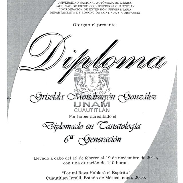 Ampliar imagen: certificate 3