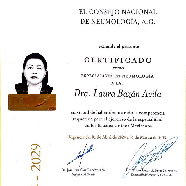 Ampliar imagen: certificate 4