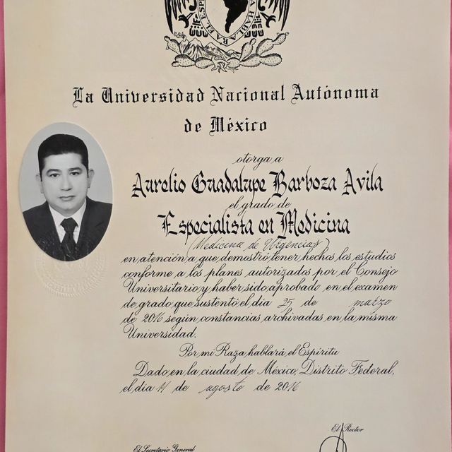 Ampliar imagen: certificate 2