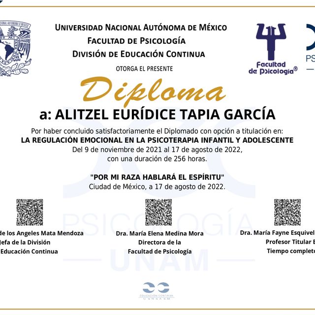 Ampliar imagen: certificate 2