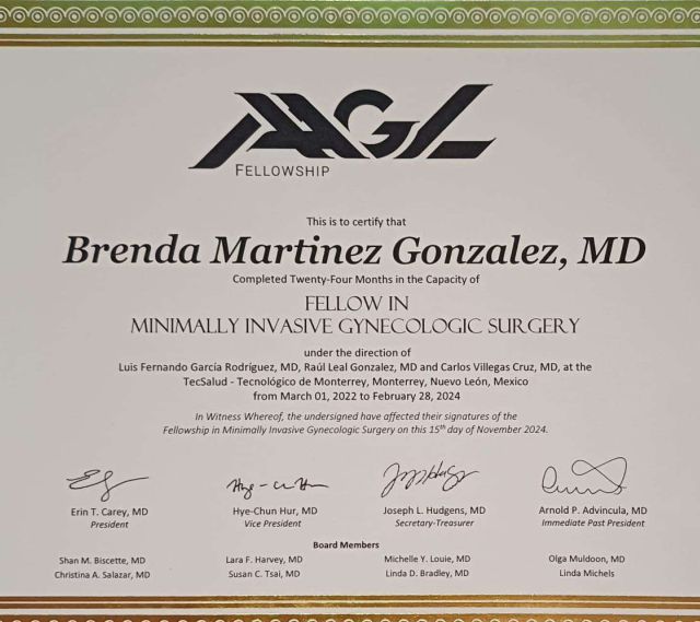 Ampliar imagen: certificate 2