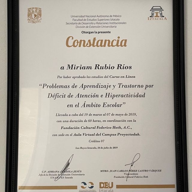 Ampliar imagen: certificate 2