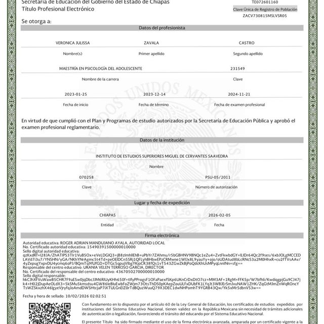 Ampliar imagen: certificate 7
