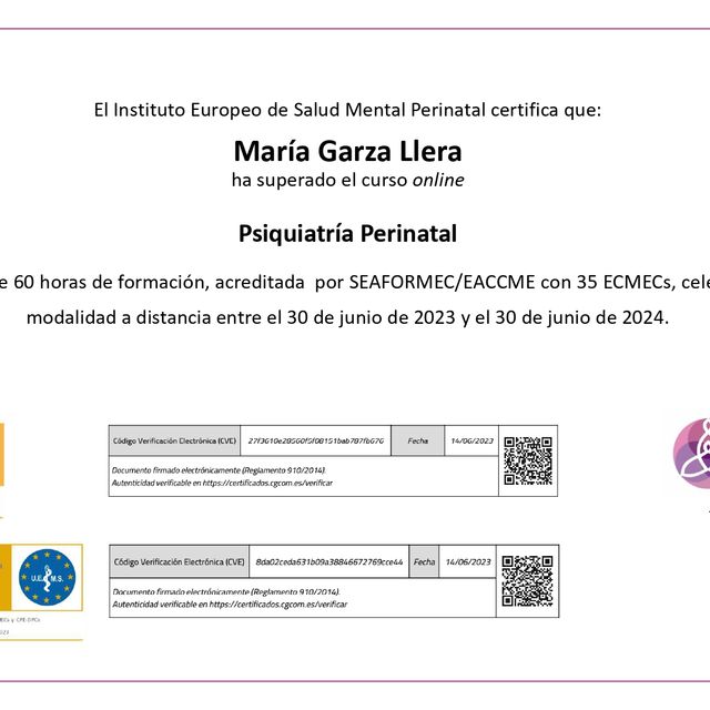 Ampliar imagen: certificate 1