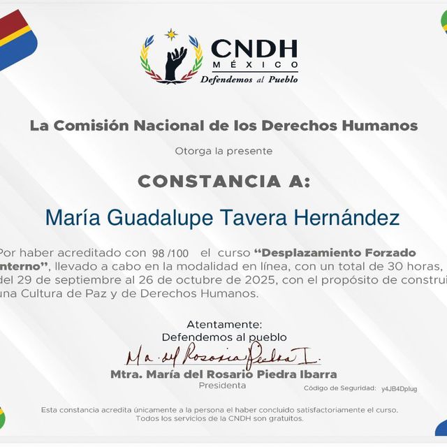 Ampliar imagen: certificate 76