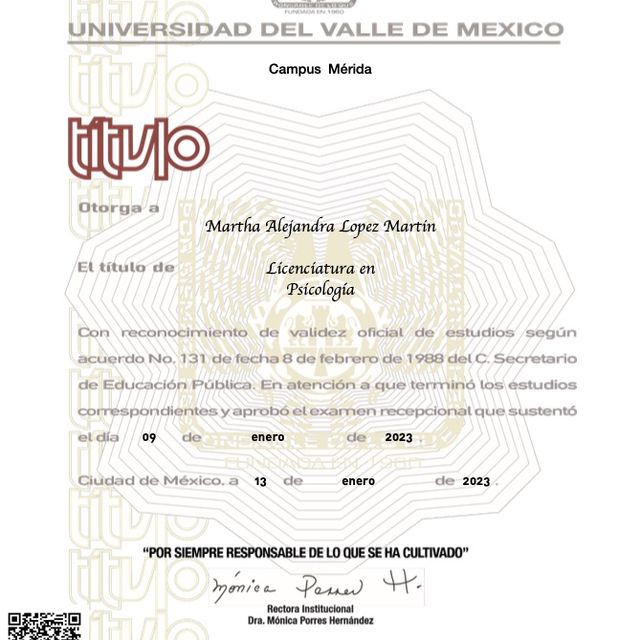 Ampliar imagen: certificate 11