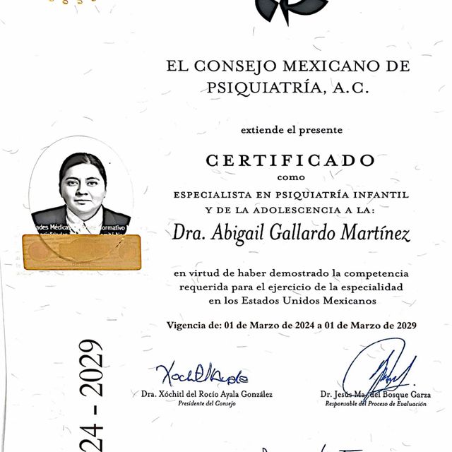 Ampliar imagen: certificate 2
