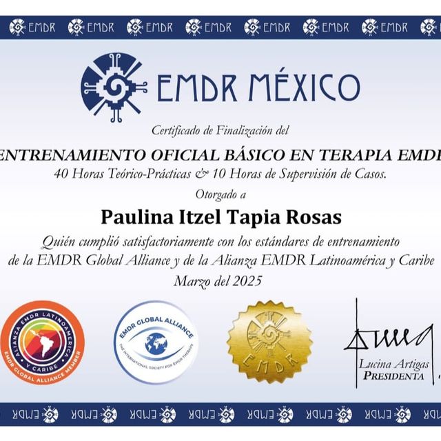 Ampliar imagen: certificate 4