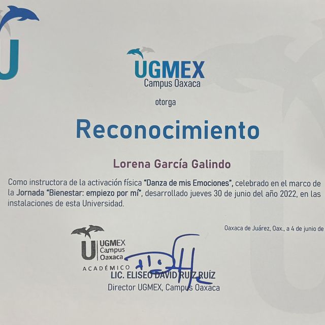 Ampliar imagen: certificate 14