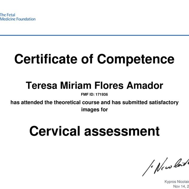 Ampliar imagen: certificate 2
