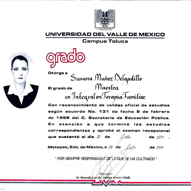 Ampliar imagen: certificate 4