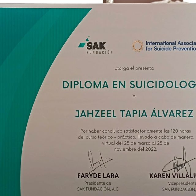 Ampliar imagen: certificate 1