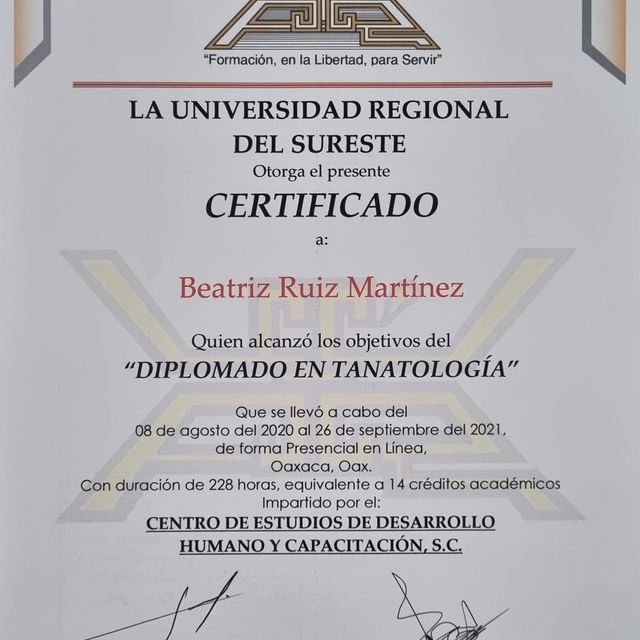 Ampliar imagen: certificate 6