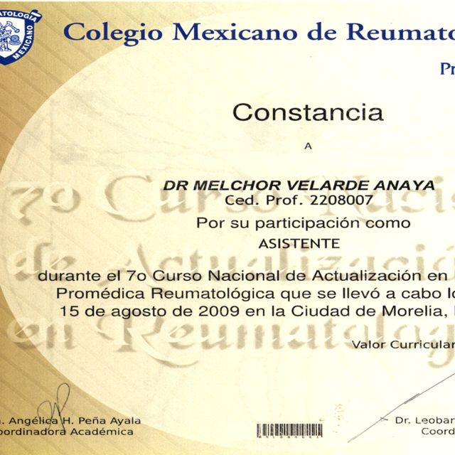 Ampliar imagen: certificate 14