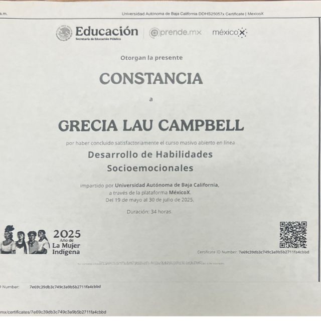 Ampliar imagen: certificate 3