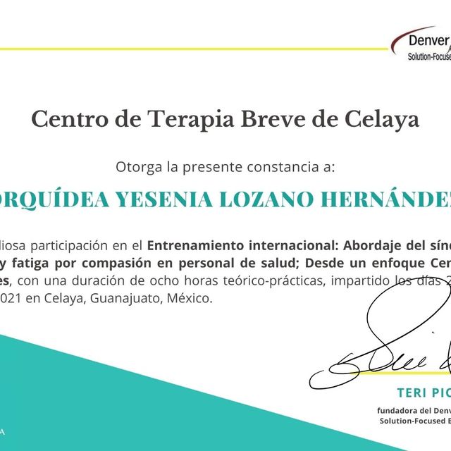 Ampliar imagen: certificate 11