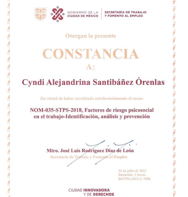Ampliar imagen: certificate 3