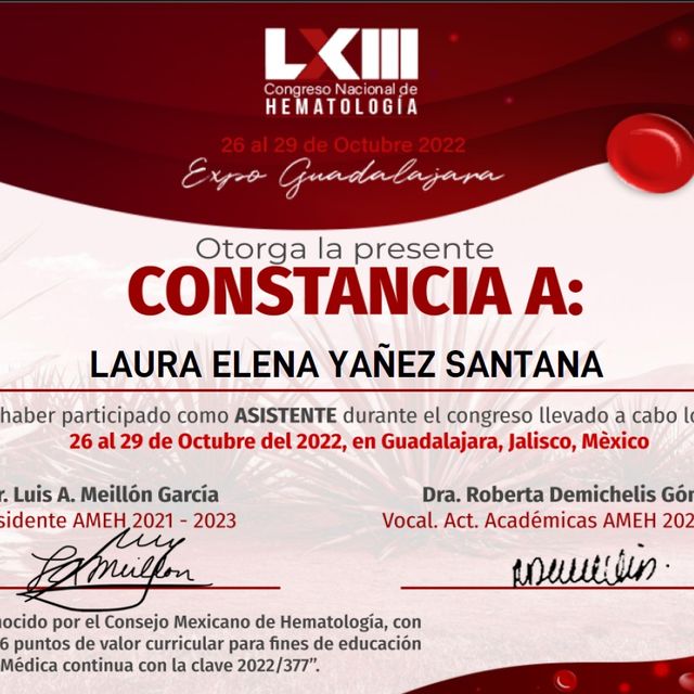 Ampliar imagen: certificate 12