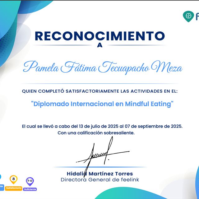 Ampliar imagen: certificate 28