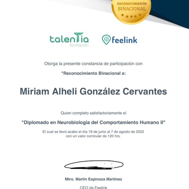 Ampliar imagen: certificate 14