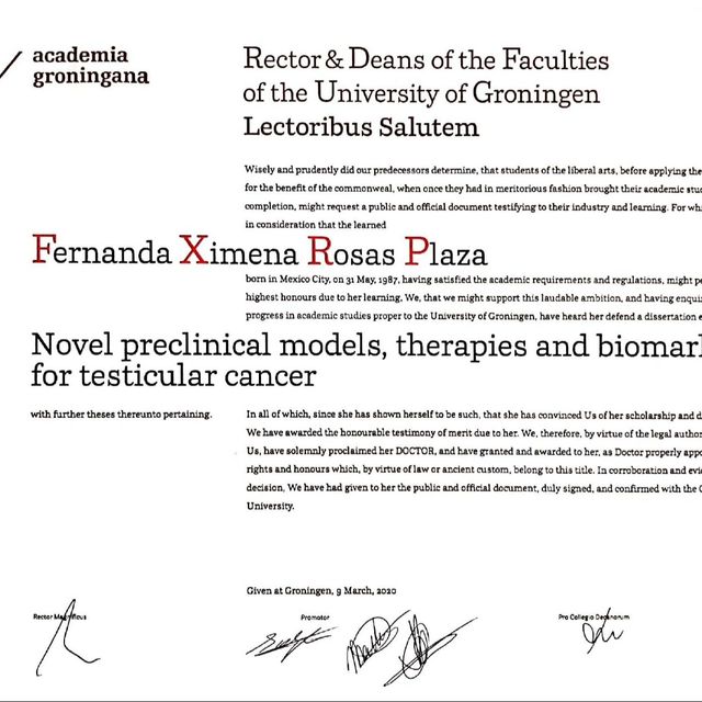 Ampliar imagen: certificate 2