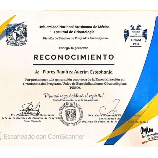 Ampliar imagen: certificate 1