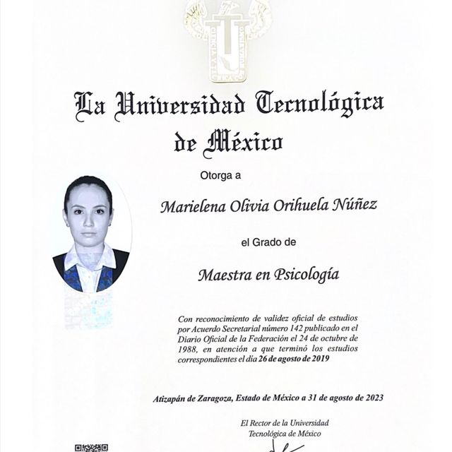 Ampliar imagen: certificate 2