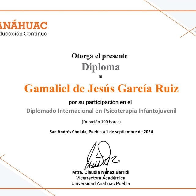 Ampliar imagen: certificate 1