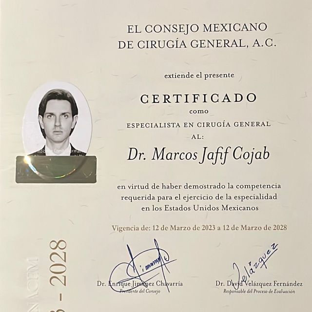 Ampliar imagen: certificate 1