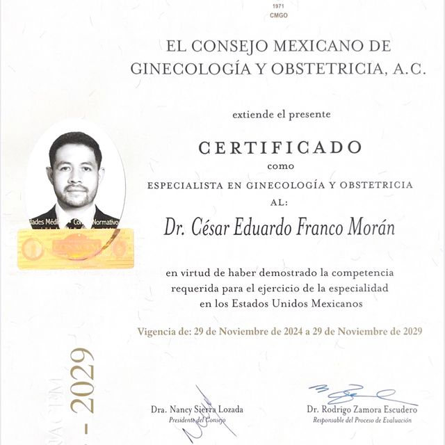 Ampliar imagen: certificate 1