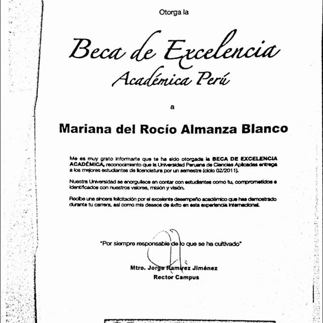 Ampliar imagen: certificate 10
