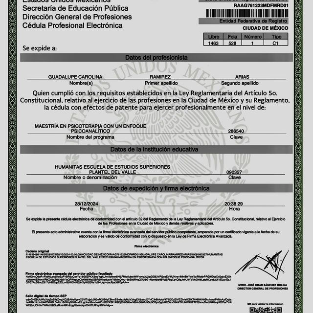 Ampliar imagen: certificate 1