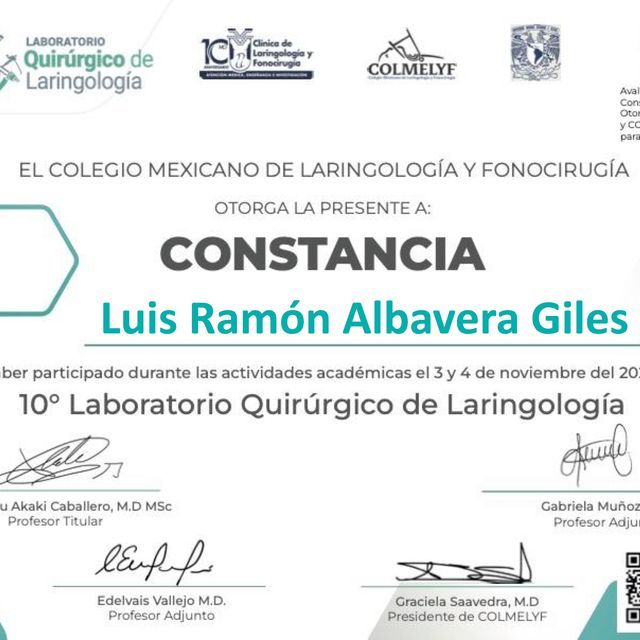 Ampliar imagen: certificate 3