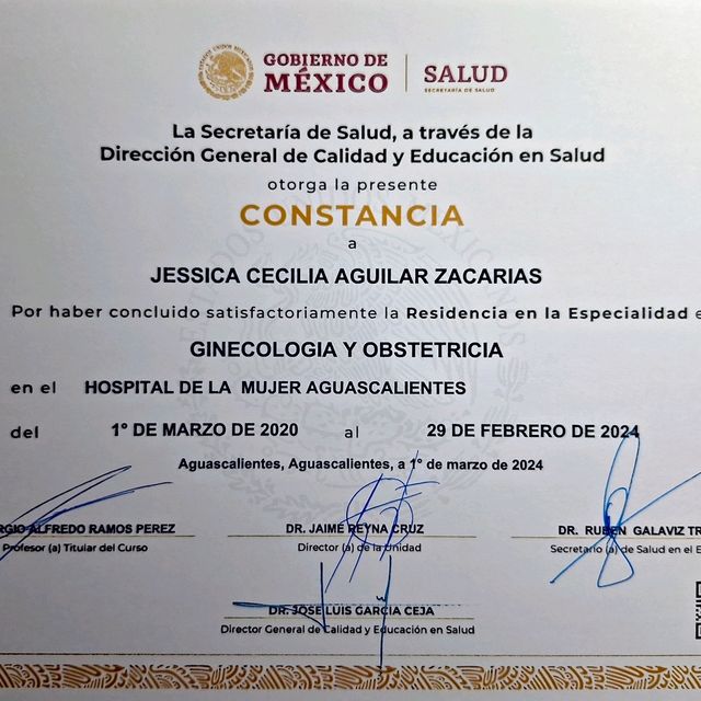 Ampliar imagen: certificate 4