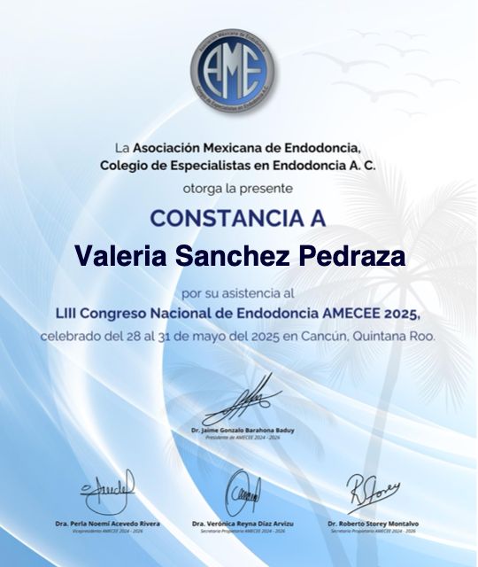Ampliar imagen: certificate 8