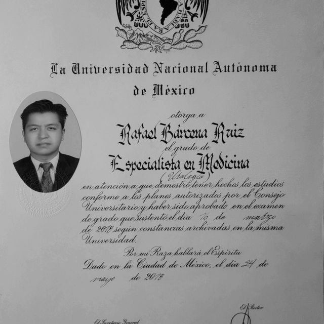 Ampliar imagen: certificate 2