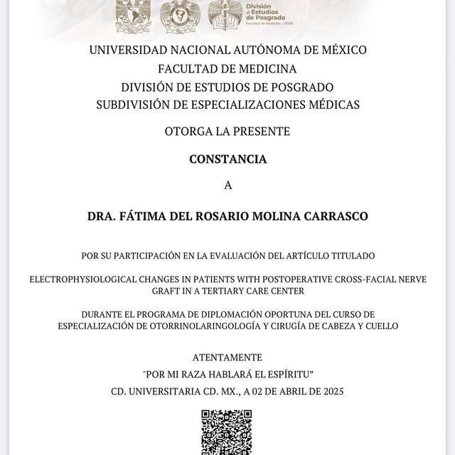 Ampliar imagen: certificate 3
