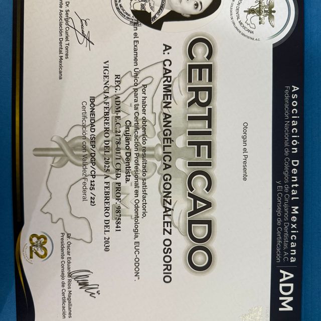 Ampliar imagen: certificate 1
