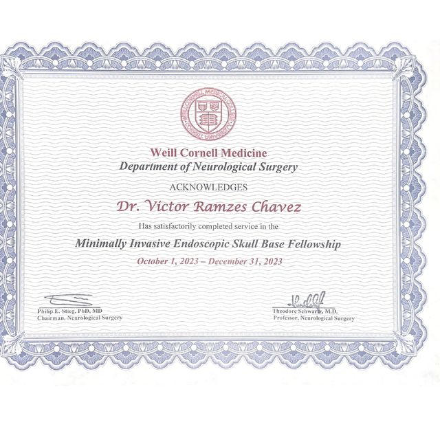 Ampliar imagen: certificate 10