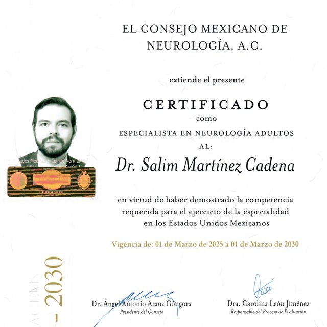 Ampliar imagen: certificate 2