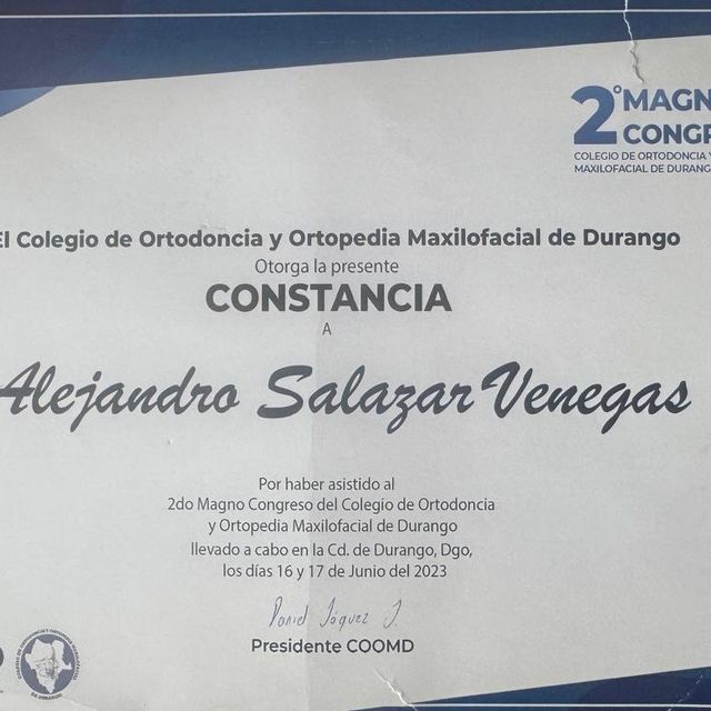 Ampliar imagen: certificate 4