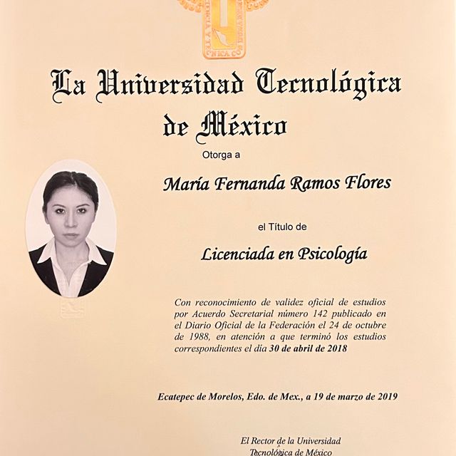 Ampliar imagen: certificate 3
