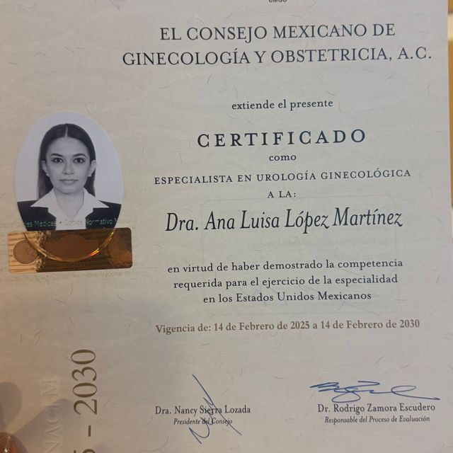 Ampliar imagen: certificate 5