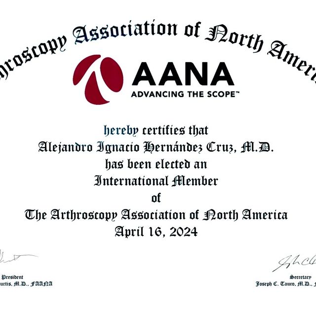 Ampliar imagen: certificate 3