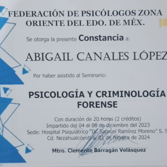Ampliar imagen: certificate 2