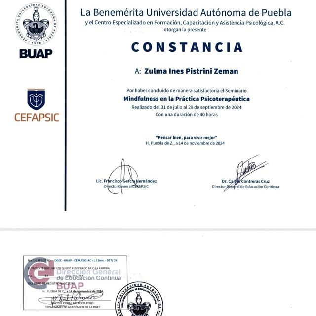 Ampliar imagen: certificate 5
