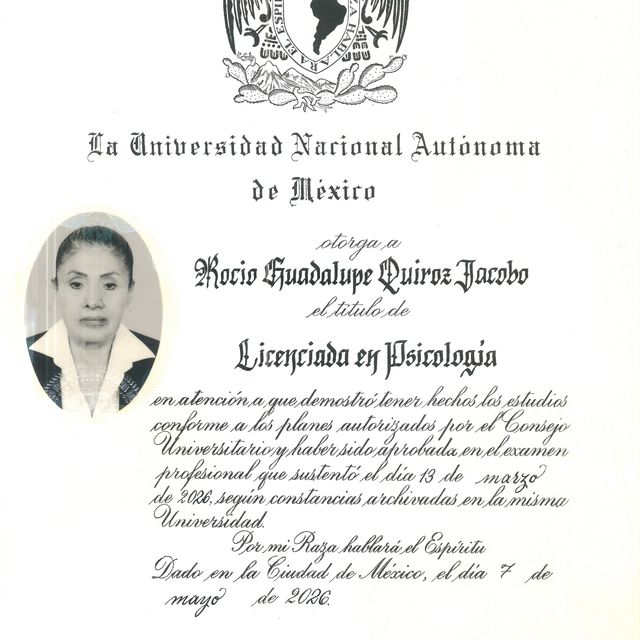 Ampliar imagen: certificate 5